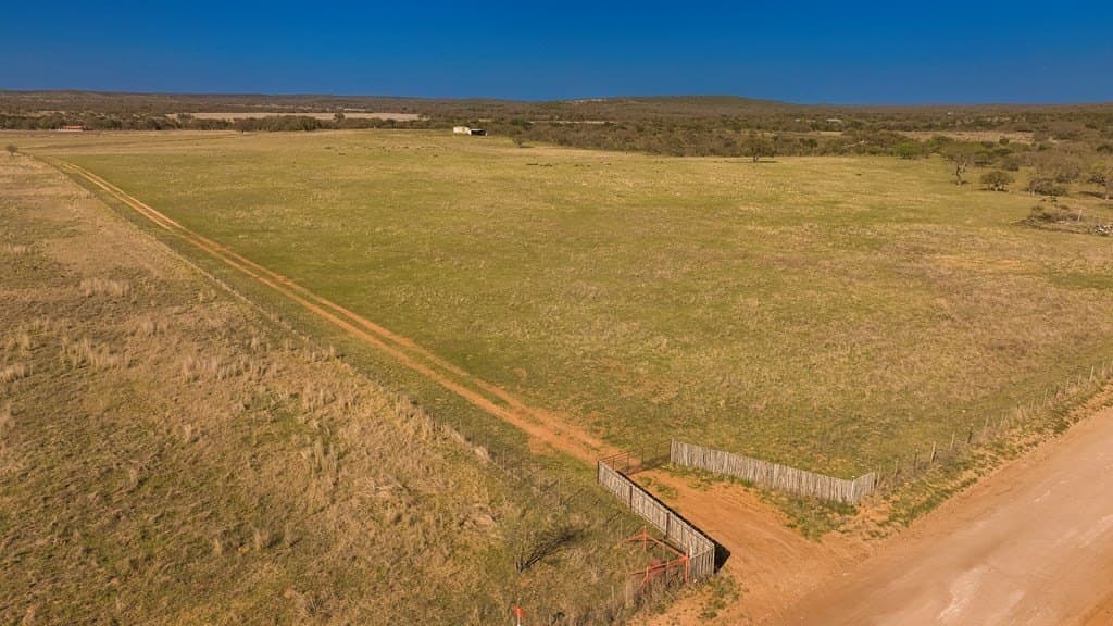 55 acres in McCulloch County gallery image 3