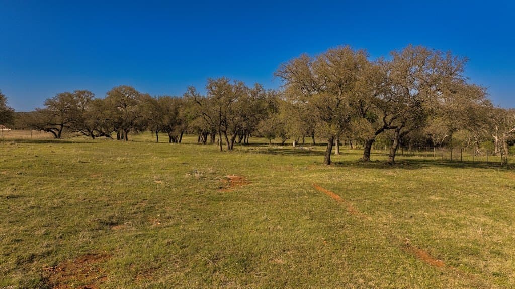 55 acres in McCulloch County - photo 10