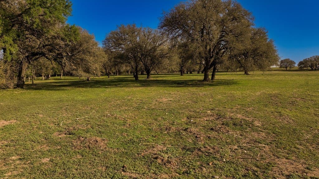 55 acres in McCulloch County - photo 19