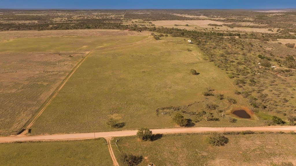 55 acres in McCulloch County gallery image 4