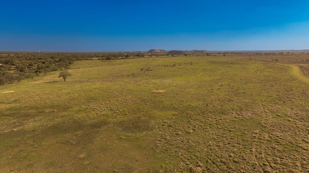 55 acres in McCulloch County - photo 7