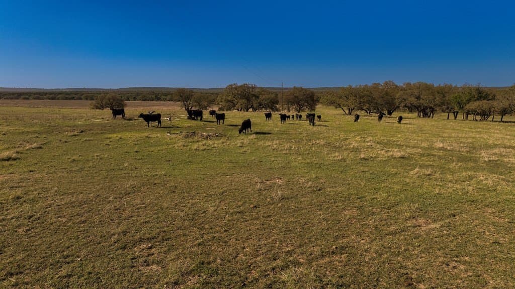 55 acres in McCulloch County - photo 9