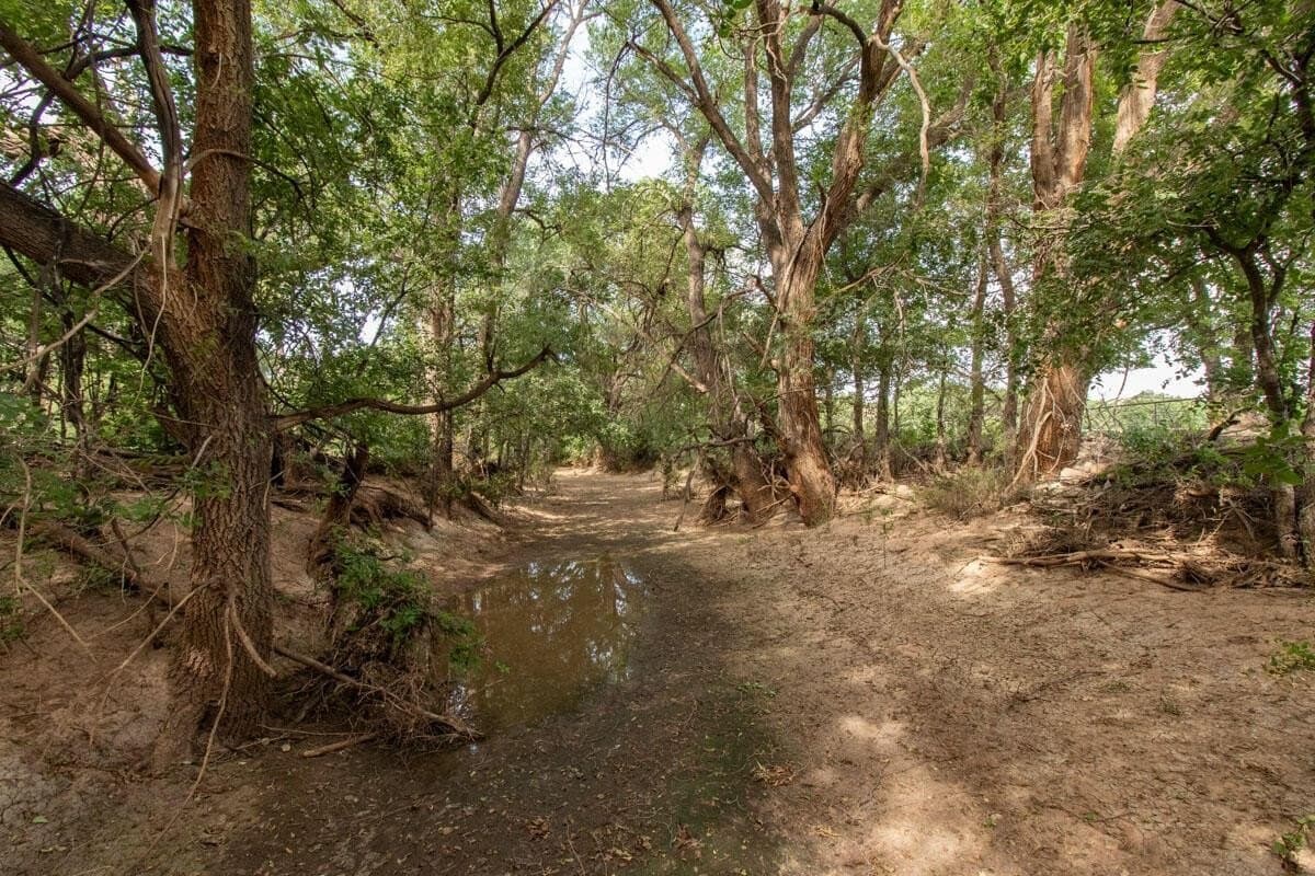 34 acres in Randall County - photo 119