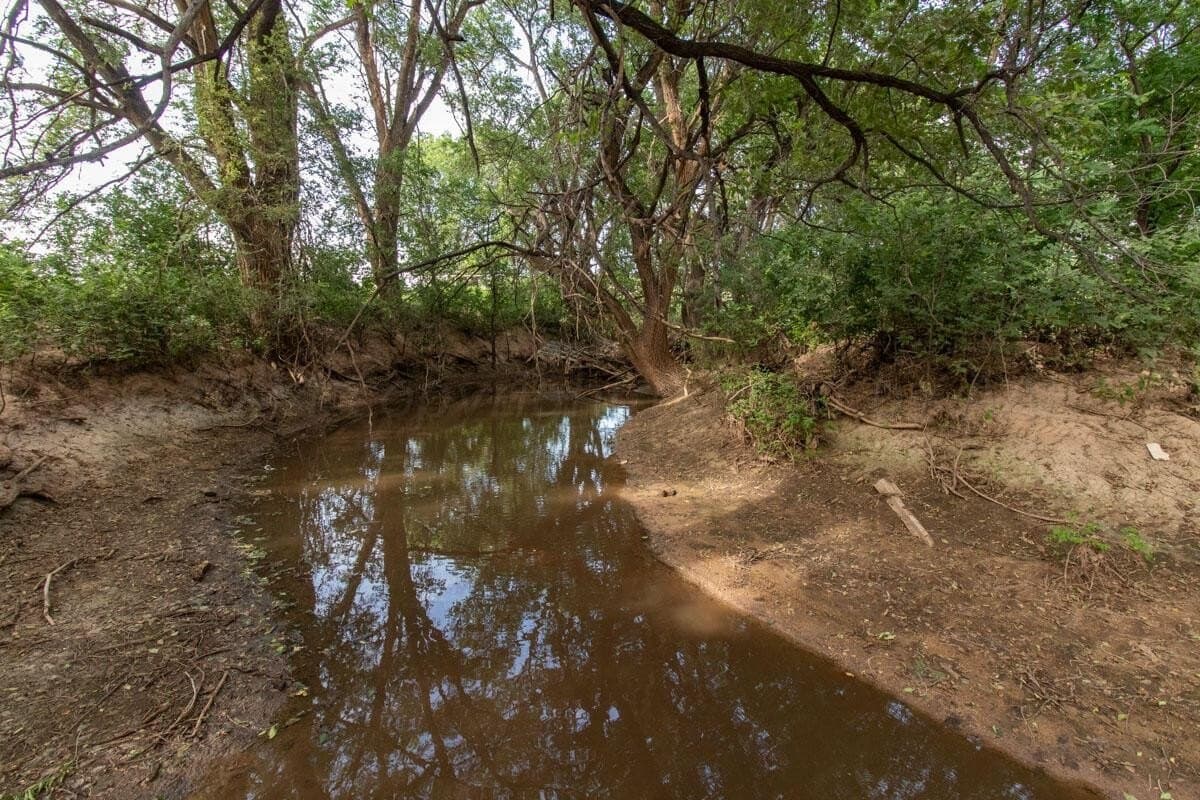 34 acres in Randall County - photo 116