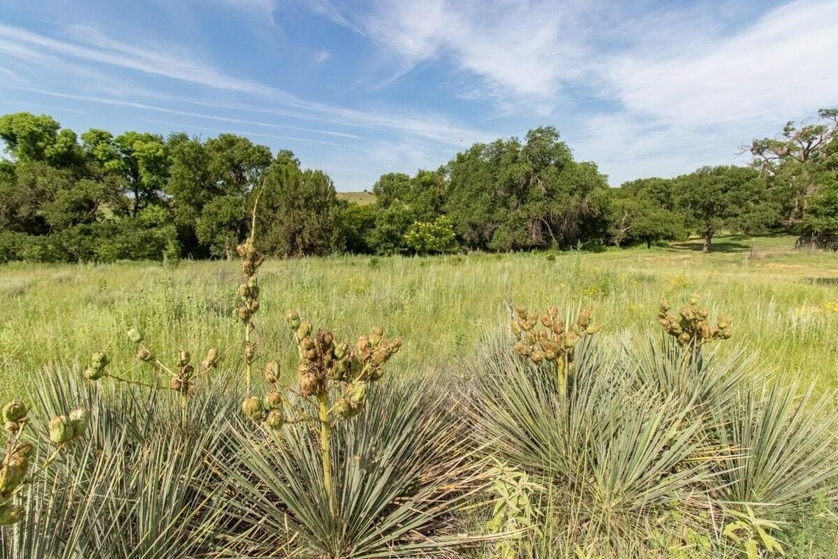 34 acres in Randall County - photo 125
