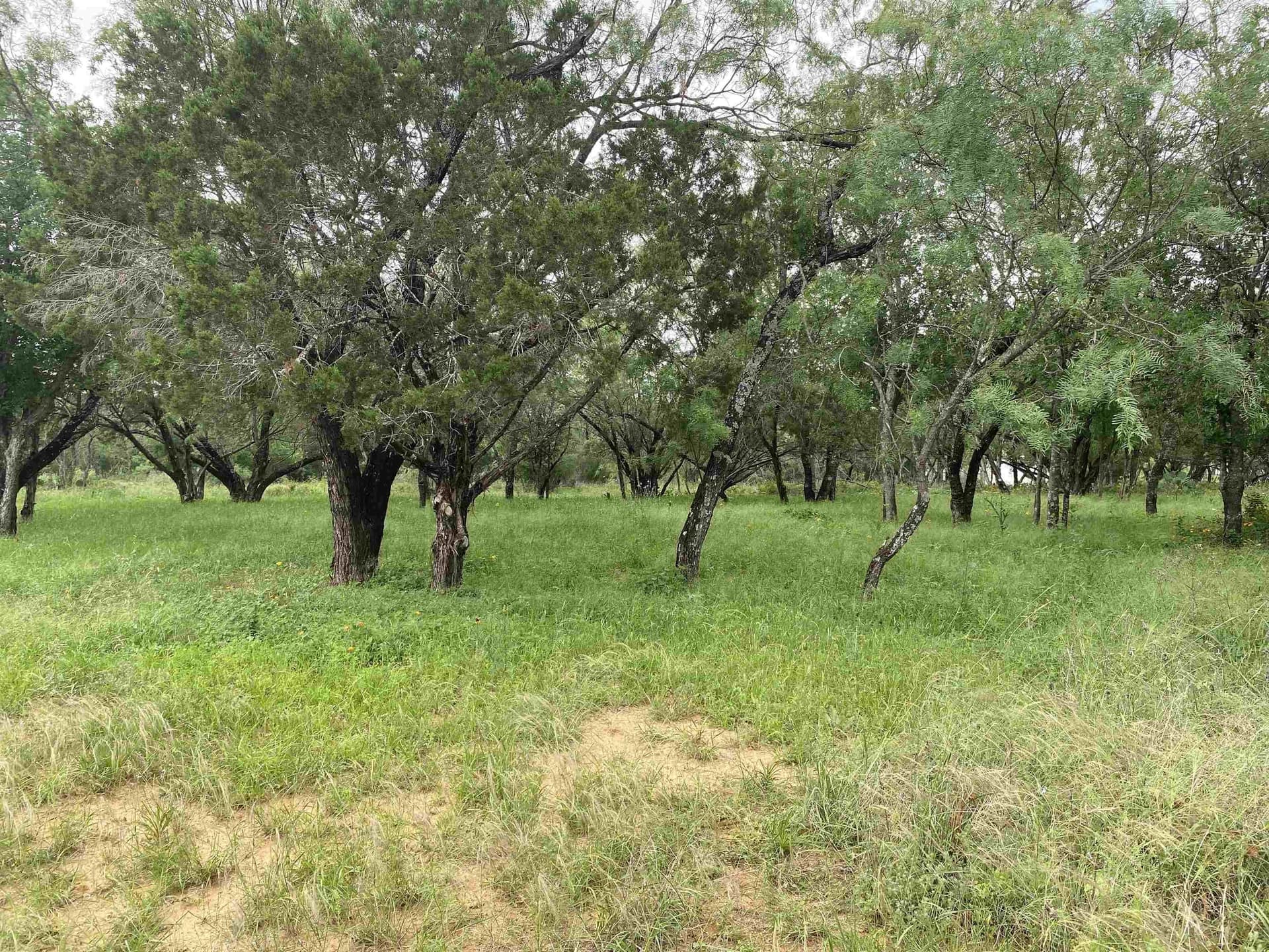 0.11 acres in Burnet County