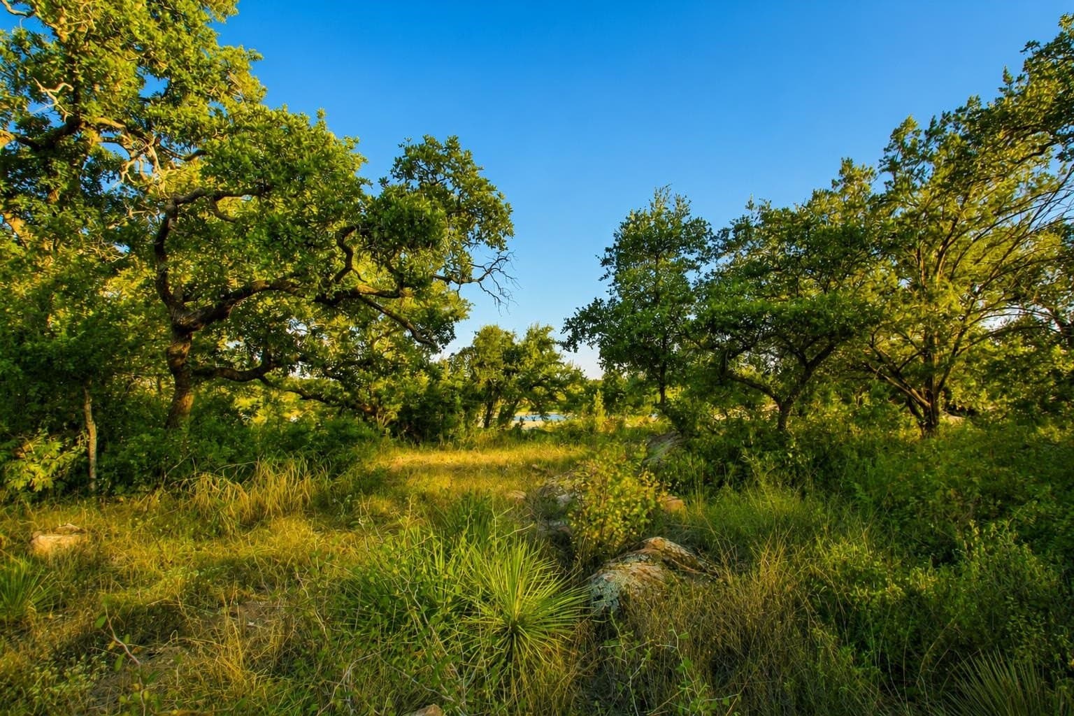 1.08 acres in Llano County - photo 3