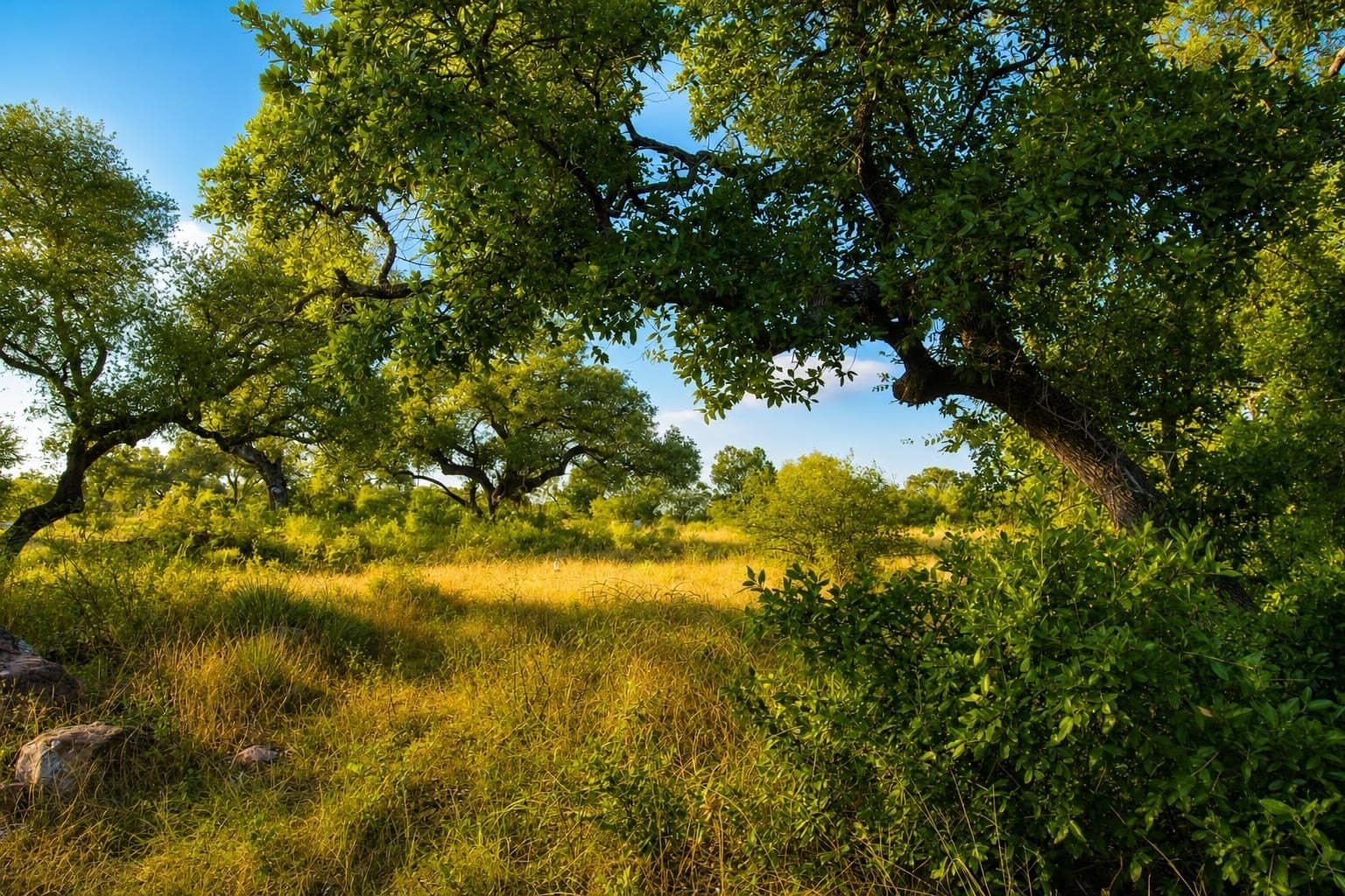 1.08 acres in Llano County - photo 11