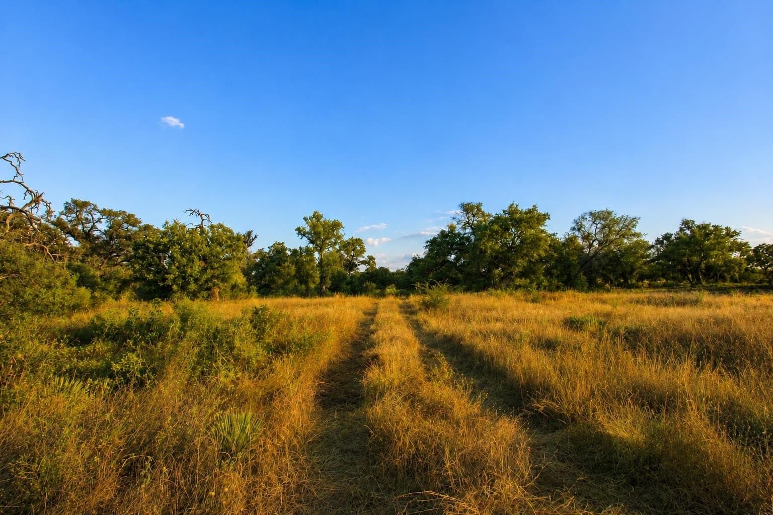 1.08 acres in Llano County - photo 23