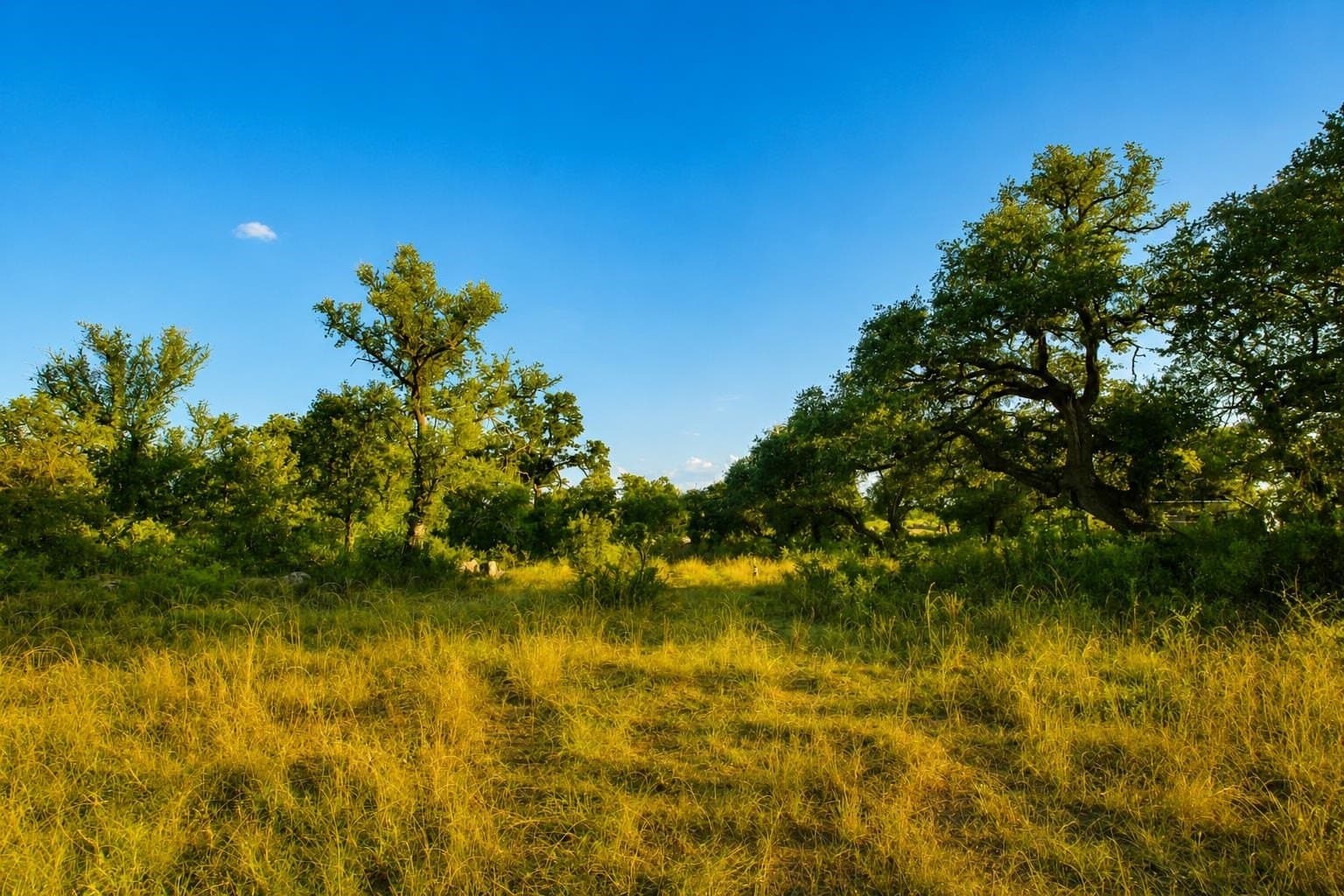 1.08 acres in Llano County - photo 12