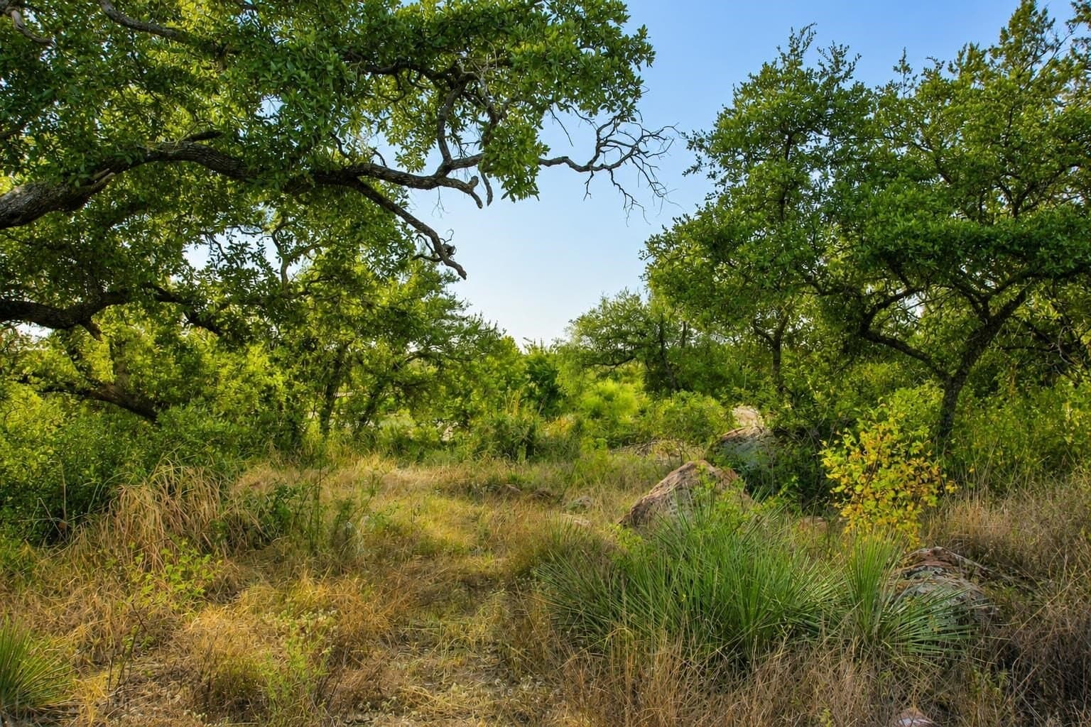 1.08 acres in Llano County - photo 27