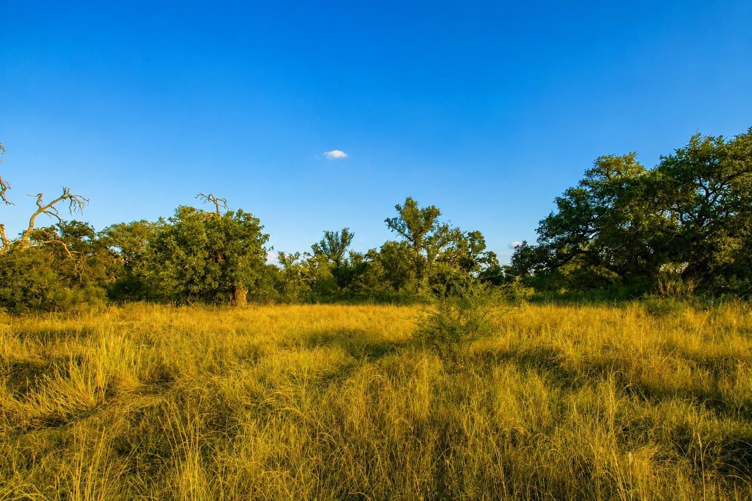 1.08 acres in Llano County - photo 18