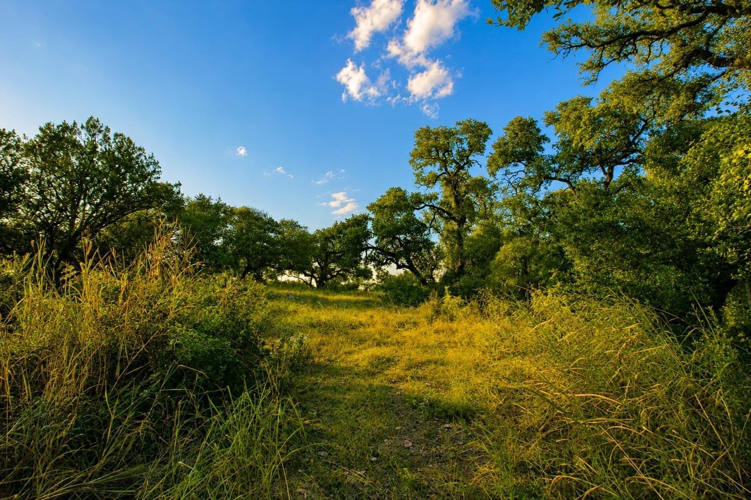 1.08 acres in Llano County - photo 5