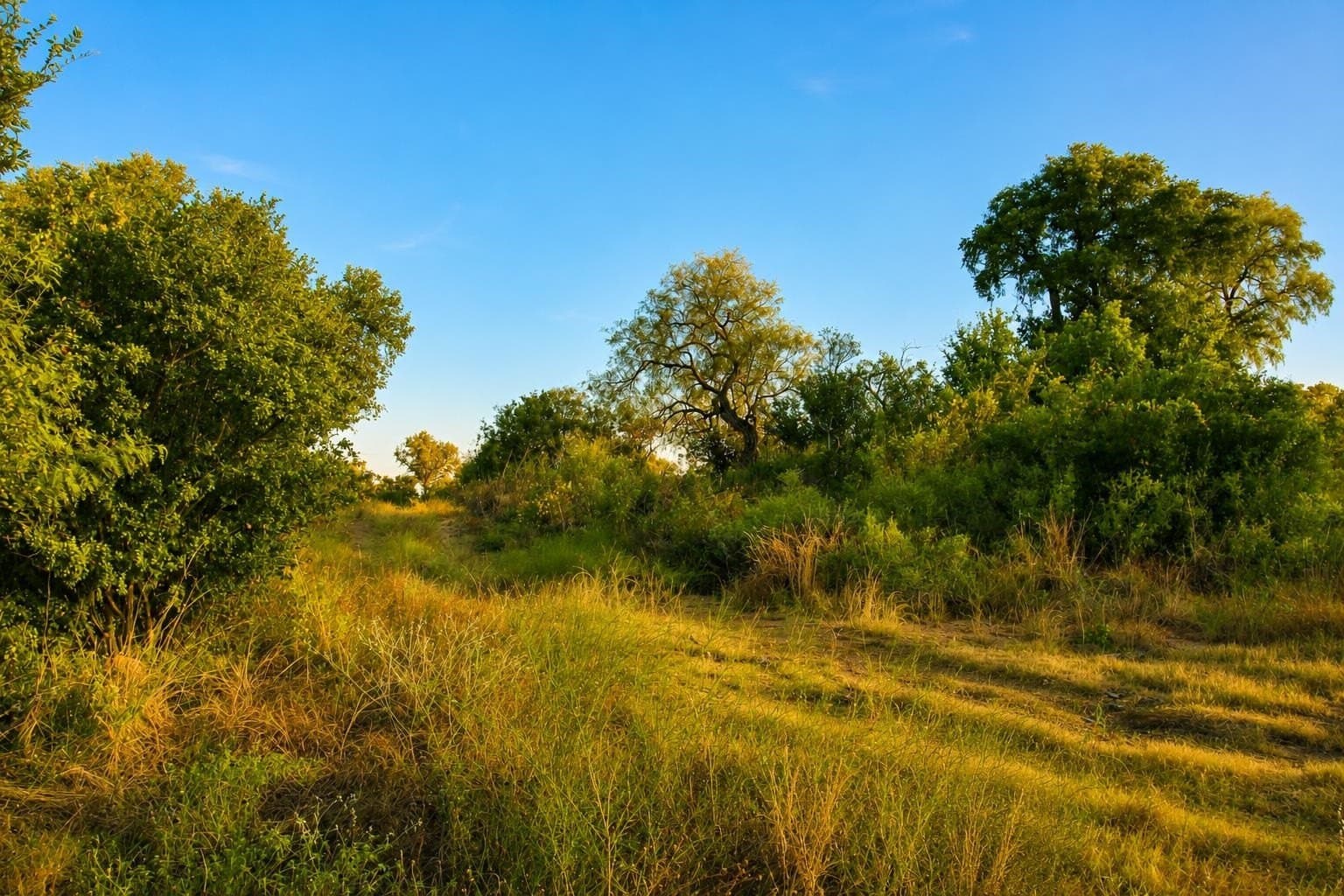 1.08 acres in Llano County - photo 29