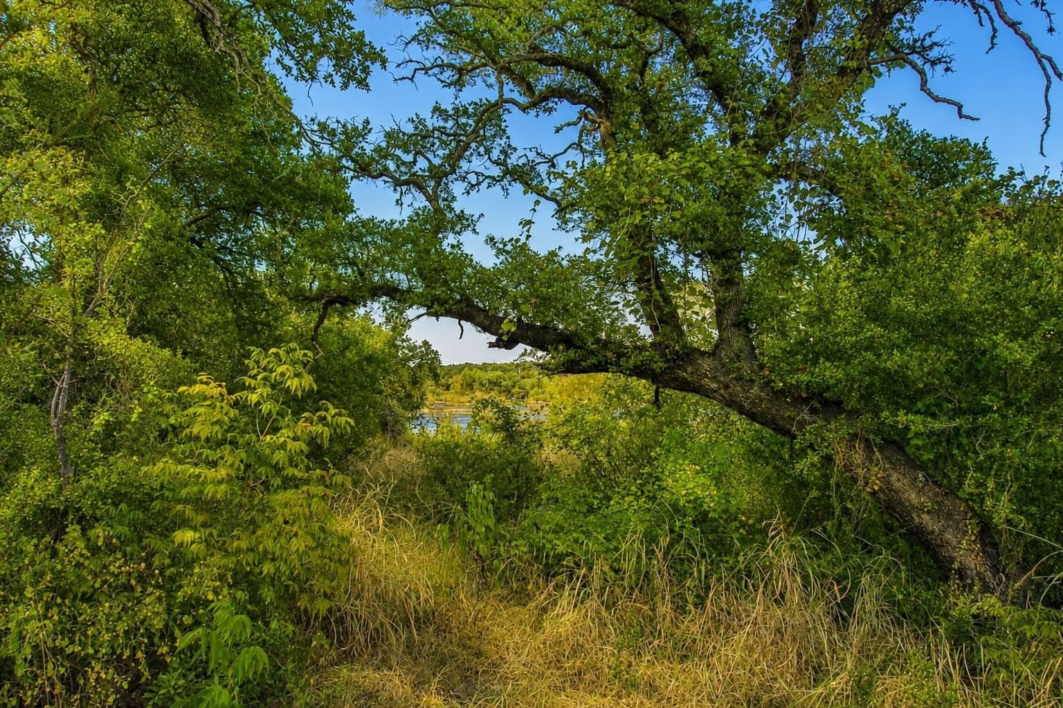 1.08 acres in Llano County - photo 30