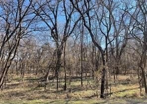 0.17 acres in Tarrant County - photo 4
