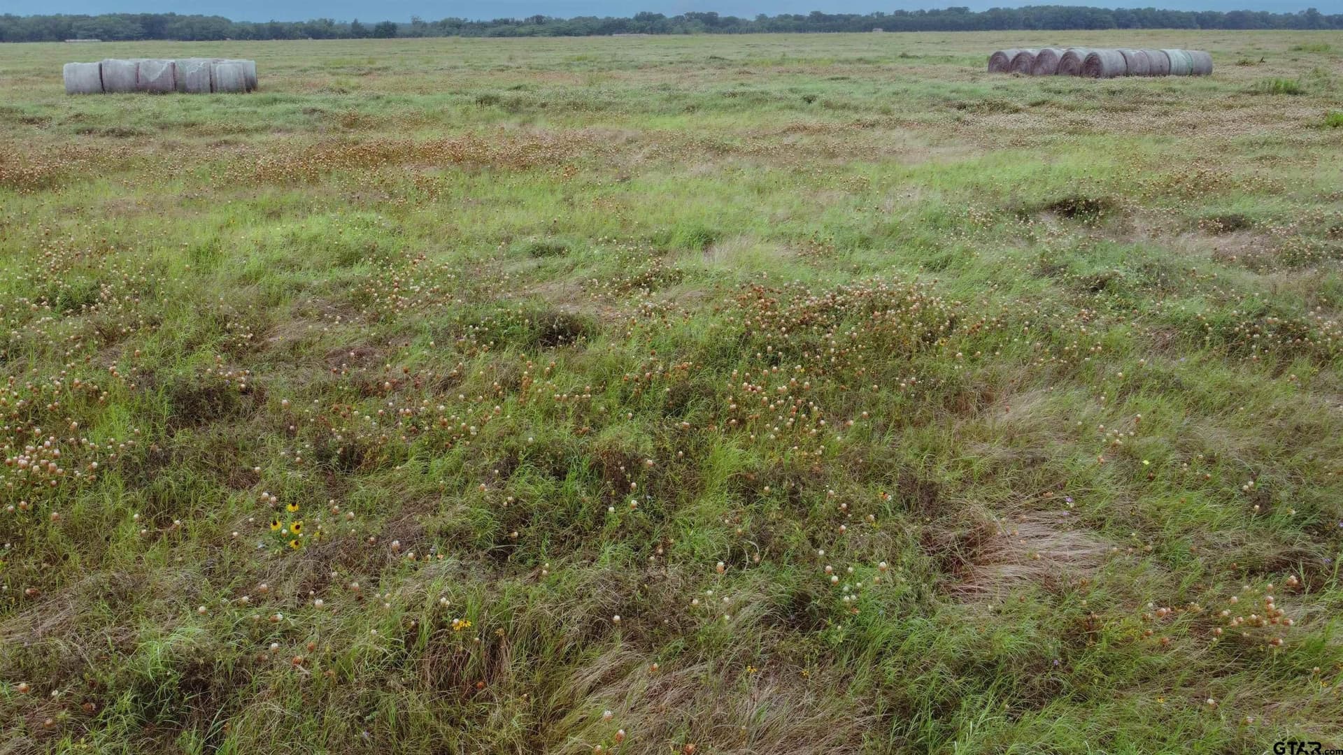 11.69 acres in Delta County gallery image 4