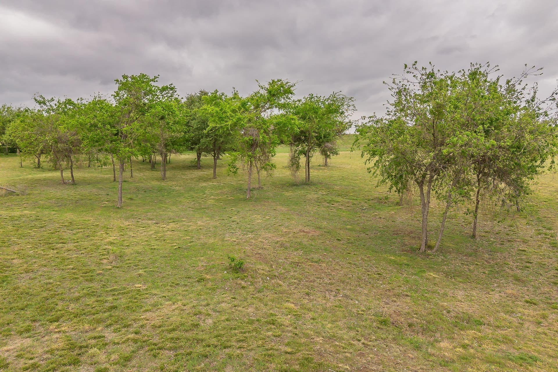 5.23 acres in Parker County - photo 9