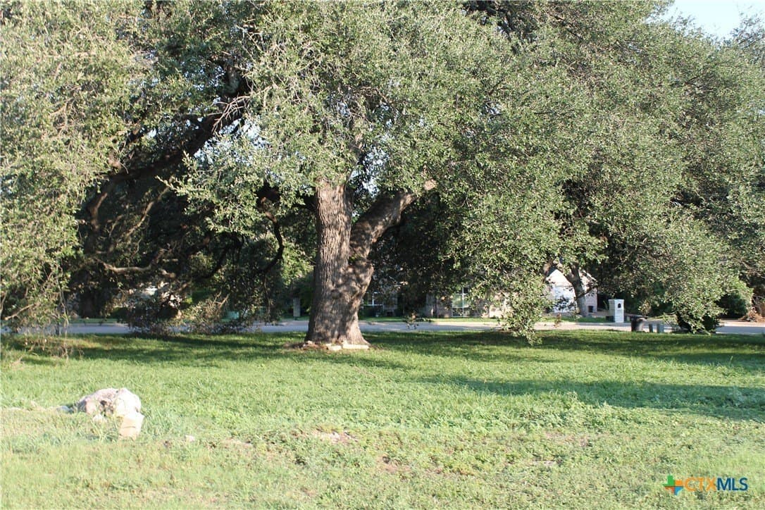 0.33 acres in Bell County gallery image 3