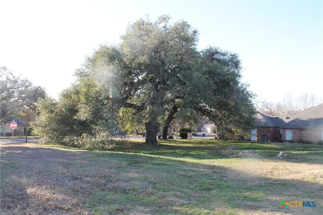 0.33 acres in Bell County gallery image 2