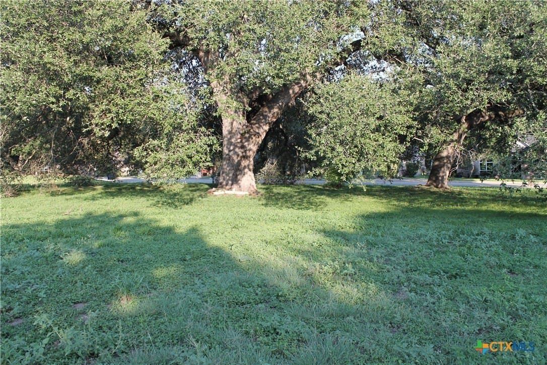 0.33 acres in Bell County gallery image 4