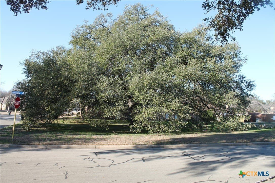 0.33 acres in Bell County - photo 7