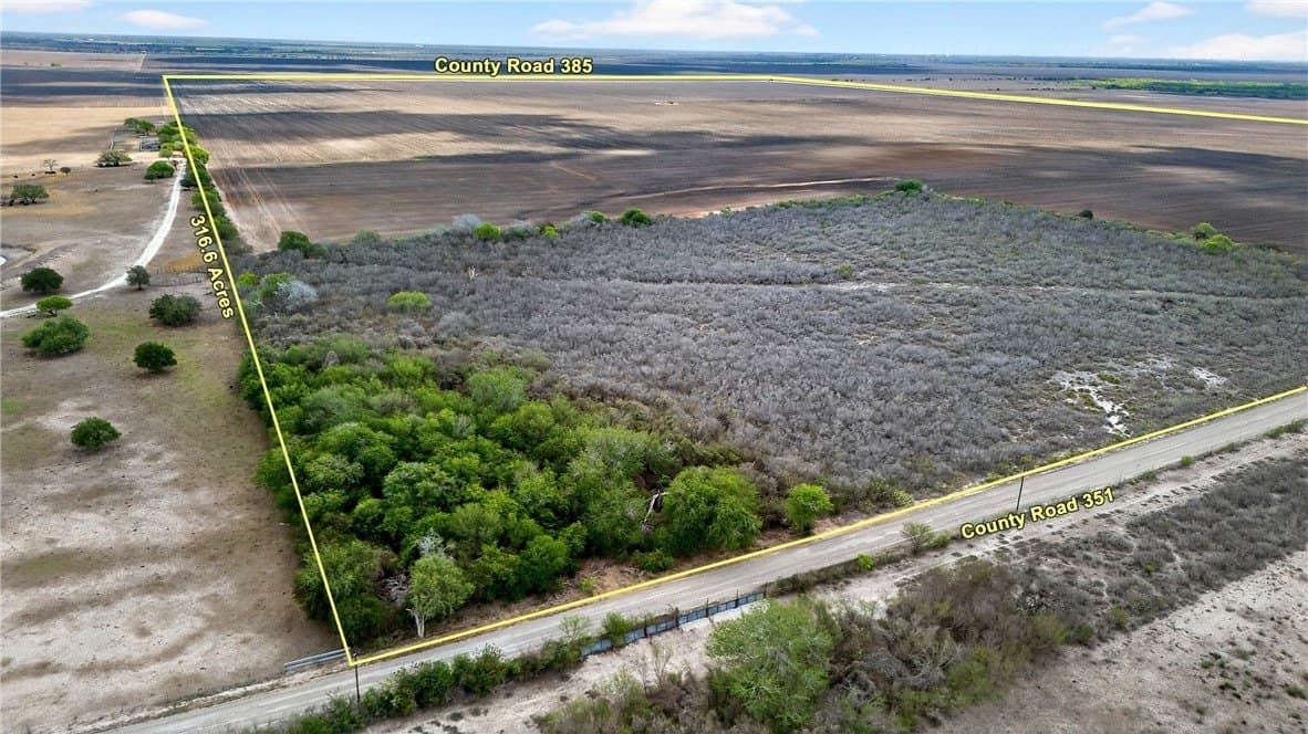 416.6 acres in Live Oak County - photo 21