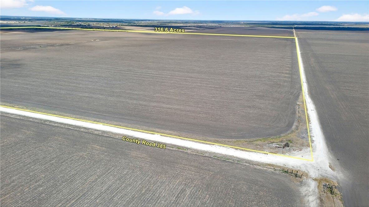416.6 acres in Live Oak County - photo 12