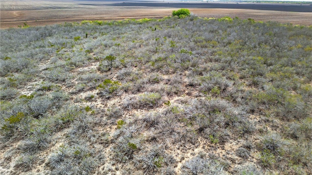 416.6 acres in Live Oak County - photo 29