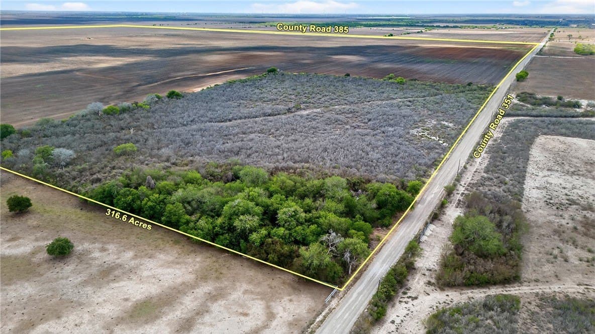 416.6 acres in Live Oak County - photo 20