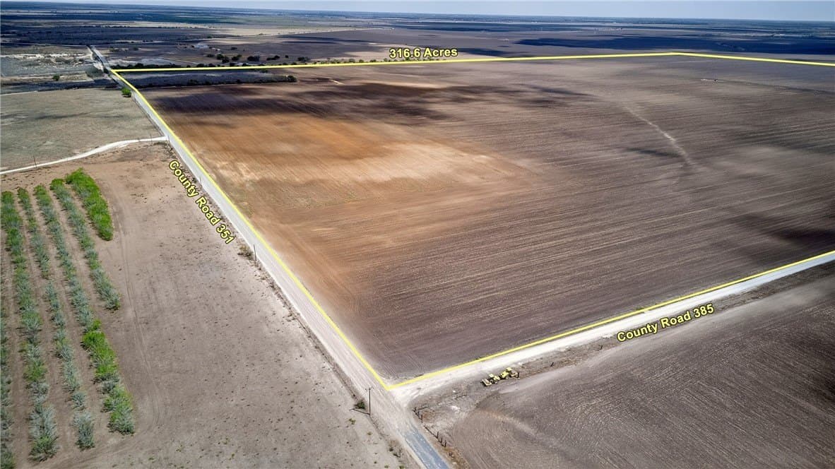 416.6 acres in Live Oak County - photo 16
