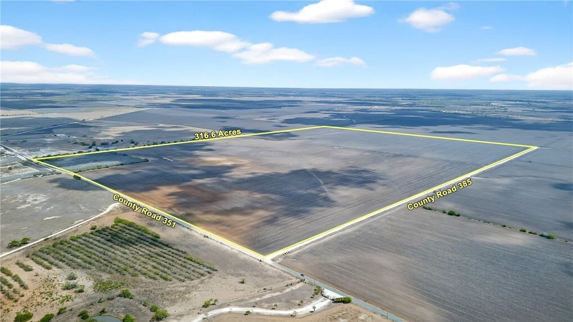 416.6 acres in Live Oak County gallery image 2