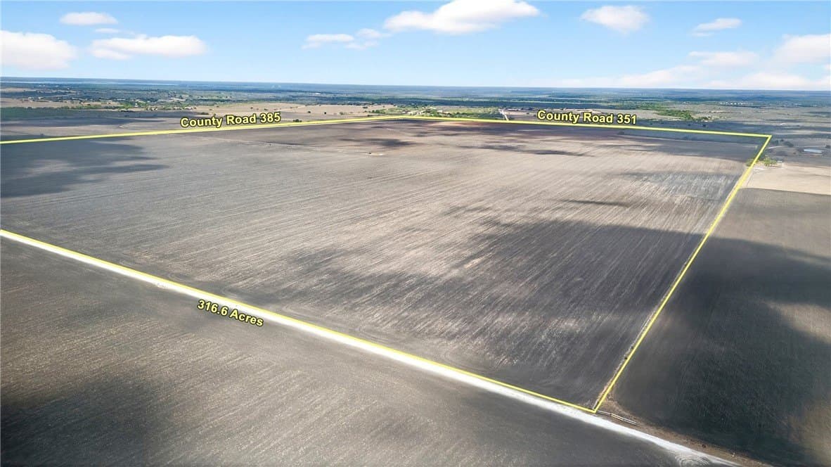 416.6 acres in Live Oak County gallery image 4