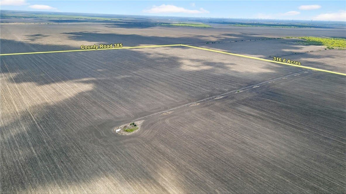 416.6 acres in Live Oak County - photo 8