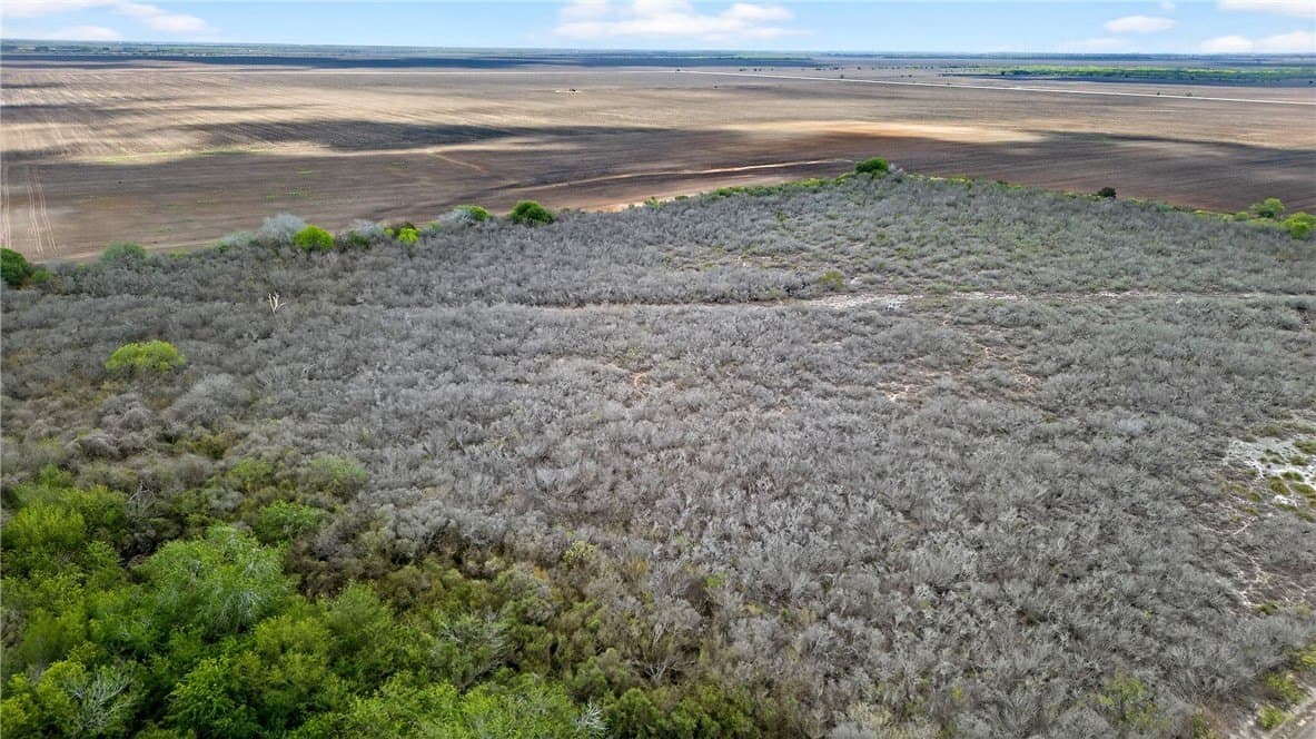 416.6 acres in Live Oak County - photo 26