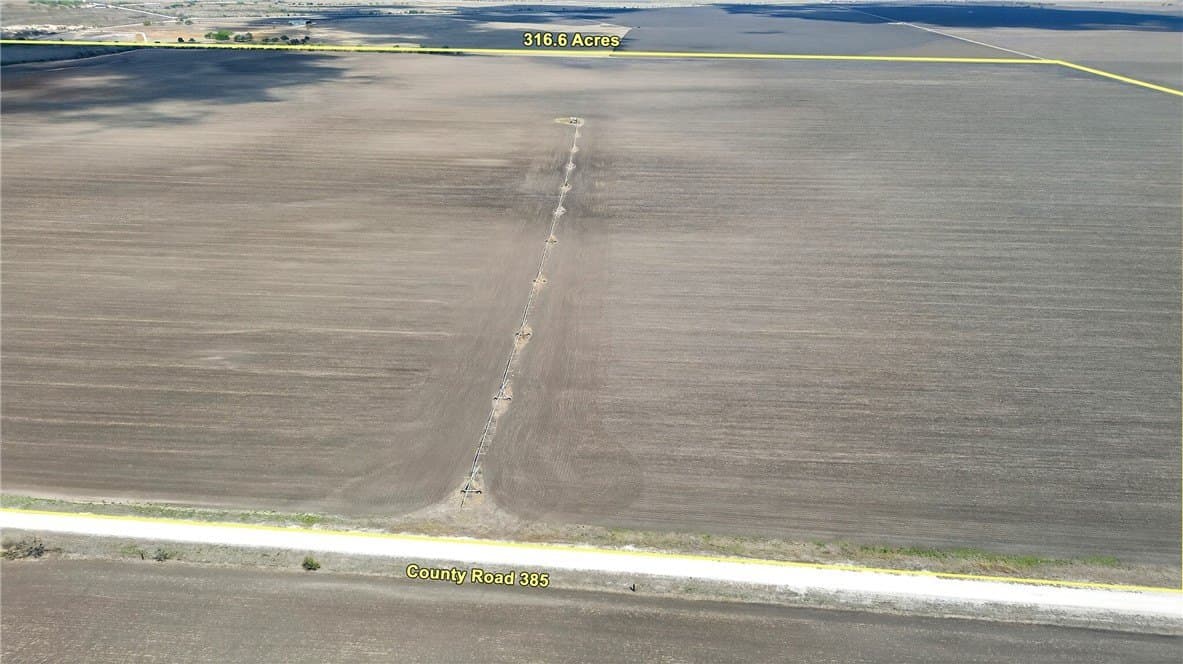 416.6 acres in Live Oak County - photo 11