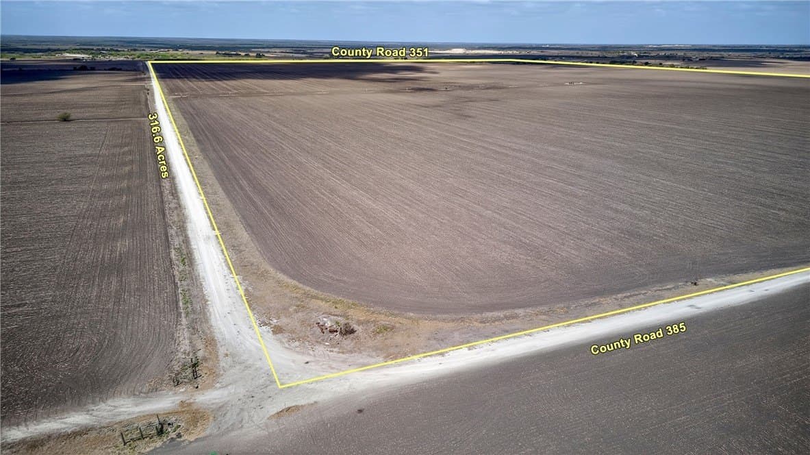 416.6 acres in Live Oak County - photo 13