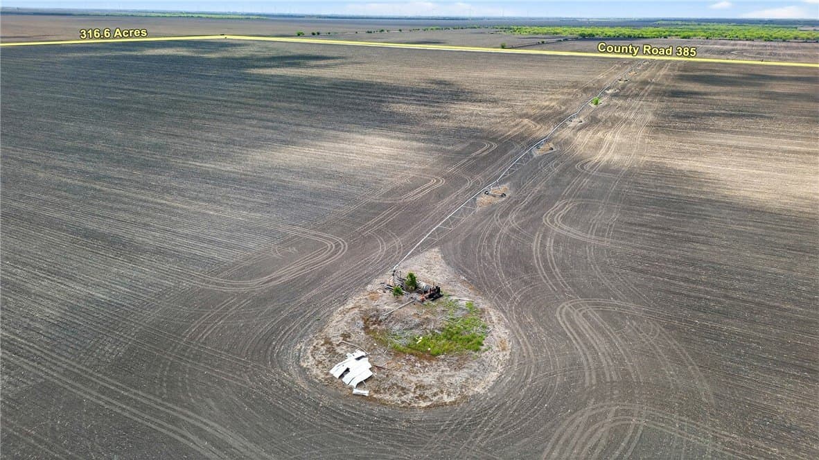416.6 acres in Live Oak County - photo 10