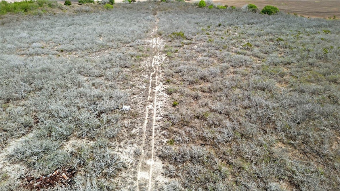 416.6 acres in Live Oak County - photo 28