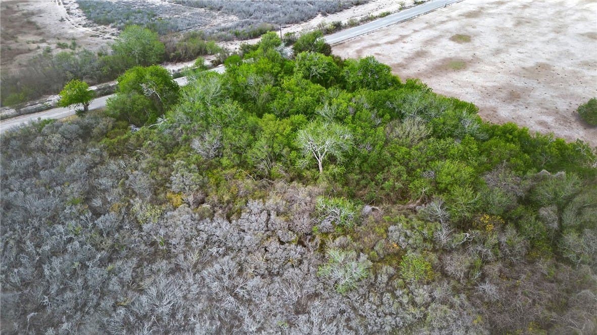 416.6 acres in Live Oak County - photo 30