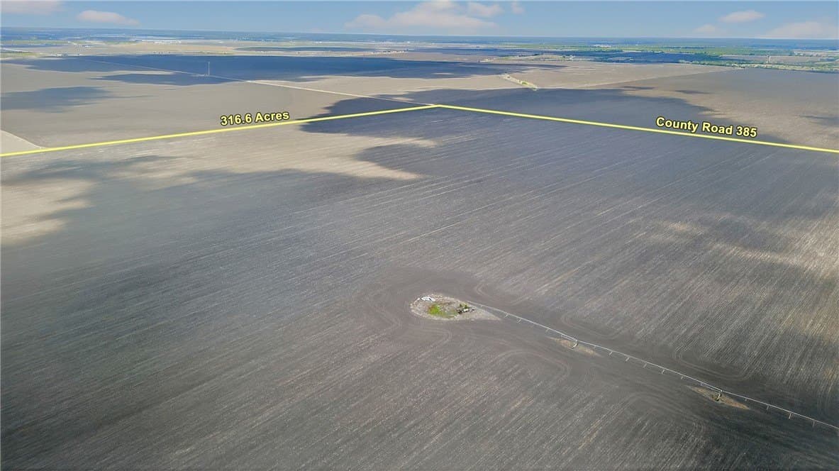 416.6 acres in Live Oak County - photo 9