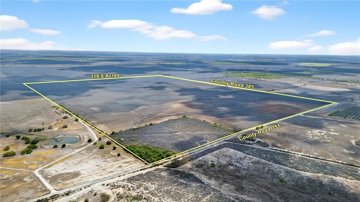 416.6 acres in Live Oak County gallery image 3
