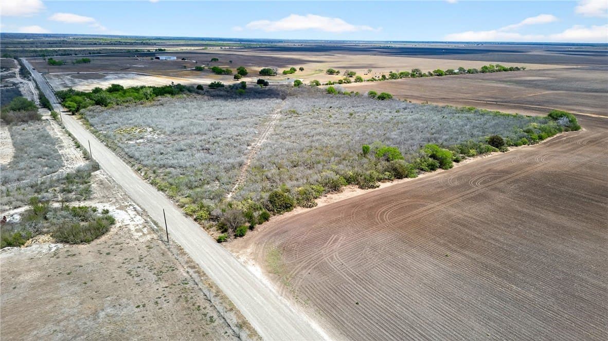 416.6 acres in Live Oak County - photo 27