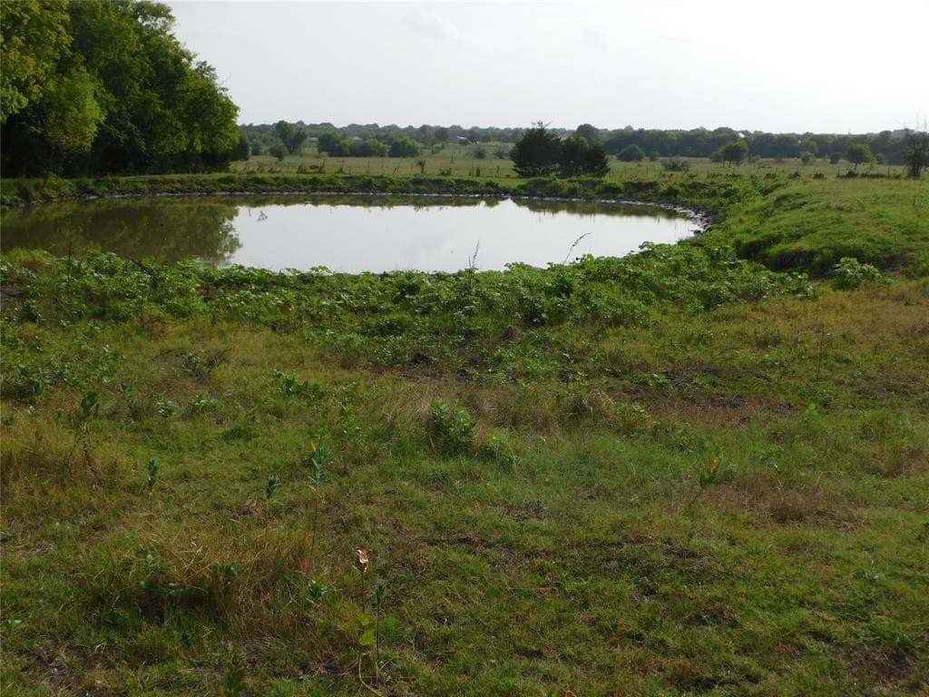 33.47 acres in Hunt County gallery image 2