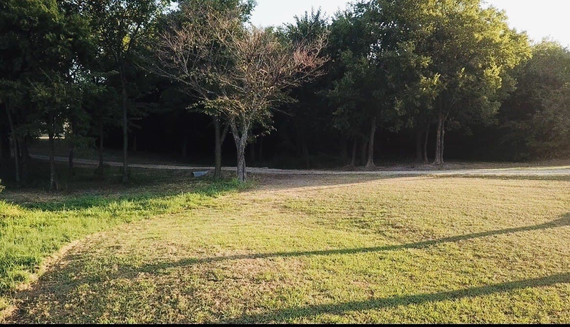 25 acres in Fannin County - photo 15