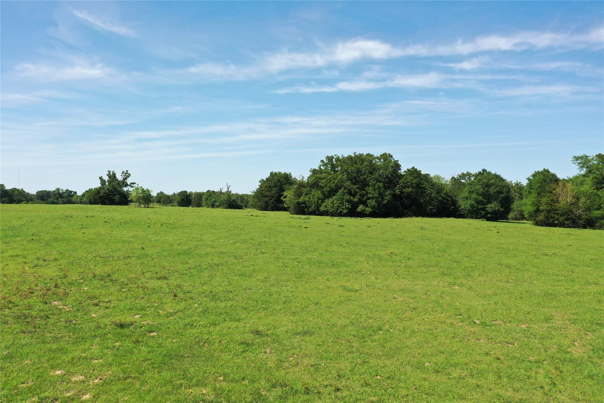 47.17 acres in Freestone County - photo 3