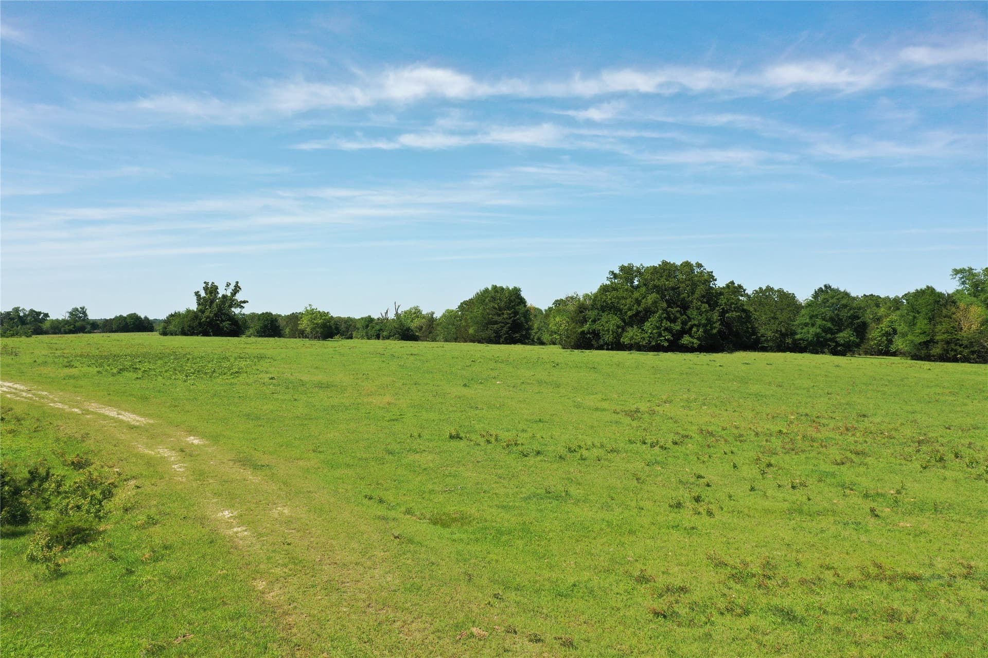 47.17 acres in Freestone County - photo 7