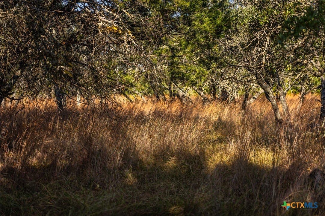 16.36 acres in Lampasas County - photo 13