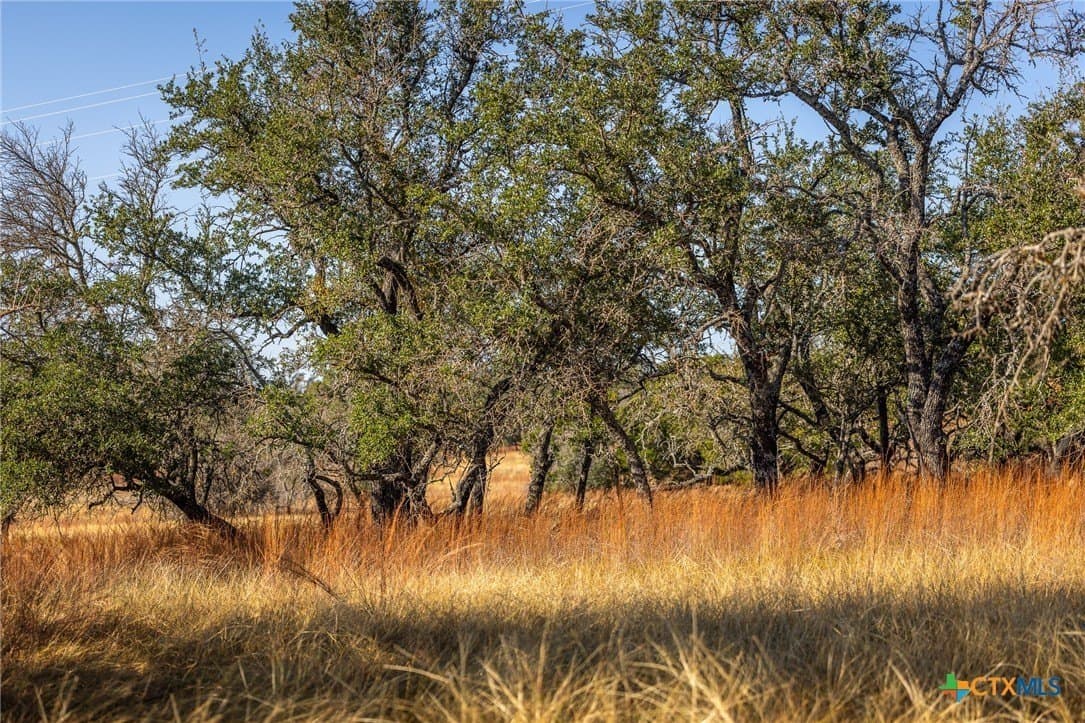 16.36 acres in Lampasas County - photo 12