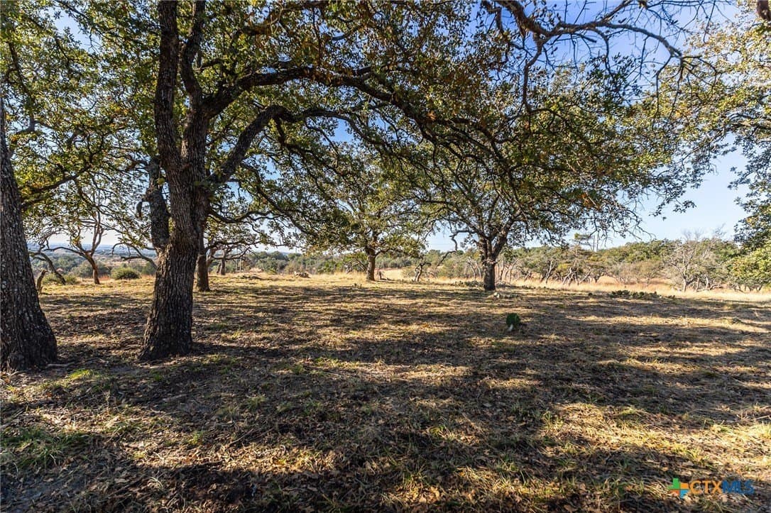 16.36 acres in Lampasas County gallery image 4